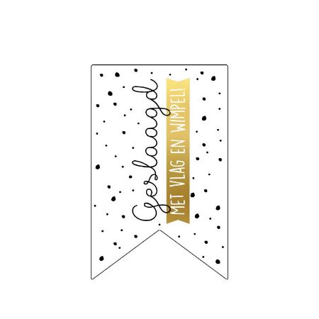 cadeausticker geslaagd met vlag en wimpel