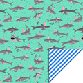 cadeaupapier shark