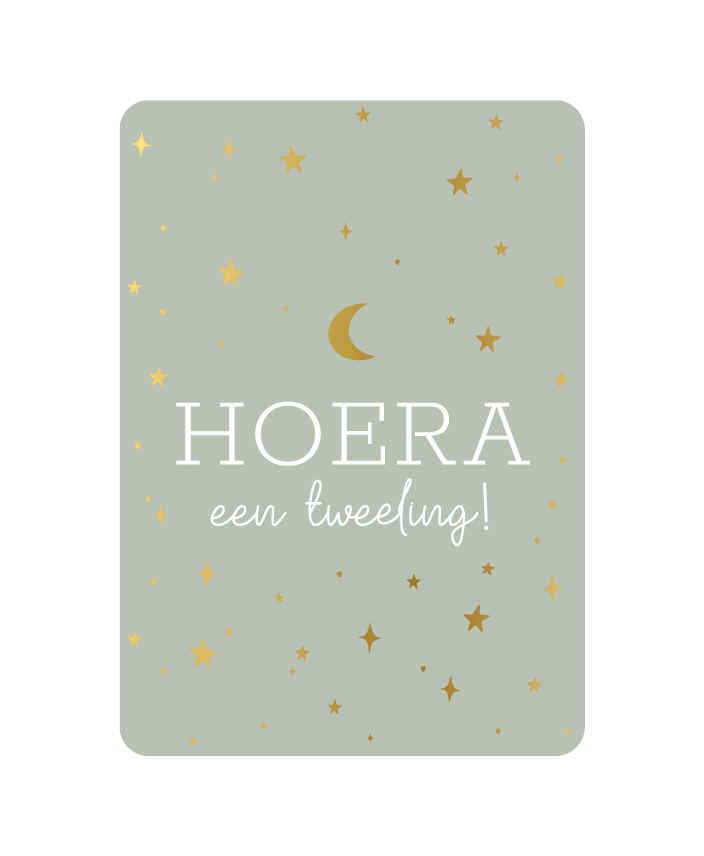kaart hoera een tweeling
