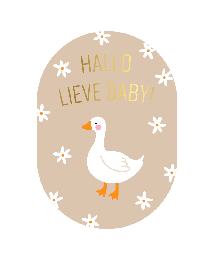 kaart hallo lieve baby goose