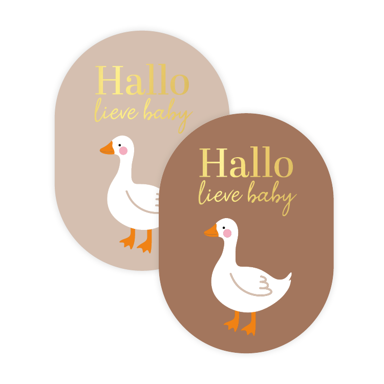 cadeausticker hallo lieve baby