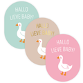 cadeausticker hallo lieve baby