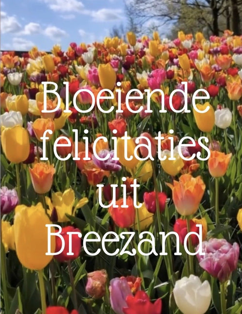ansichtkaart bloeiende felicitaties uit Breezand