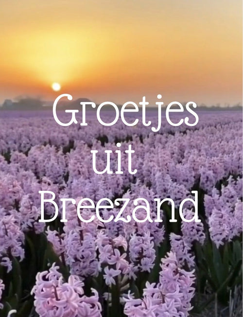 ansichtkaart groetjes uit Breezand