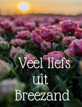 kaart veel liefs uit Breezand