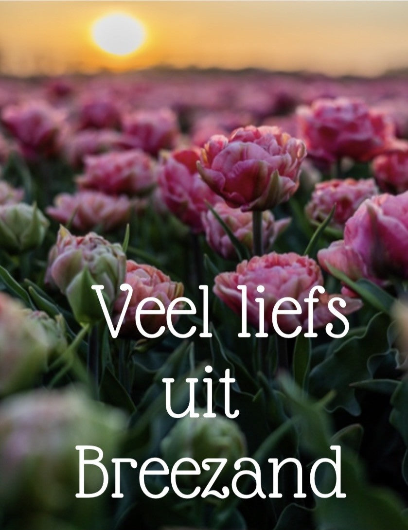kaart veel liefs uit Breezand